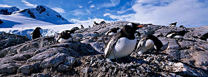 《赛博朋克2077》2.2更新秘密联动《小丑牌》 在夜之城寻宝